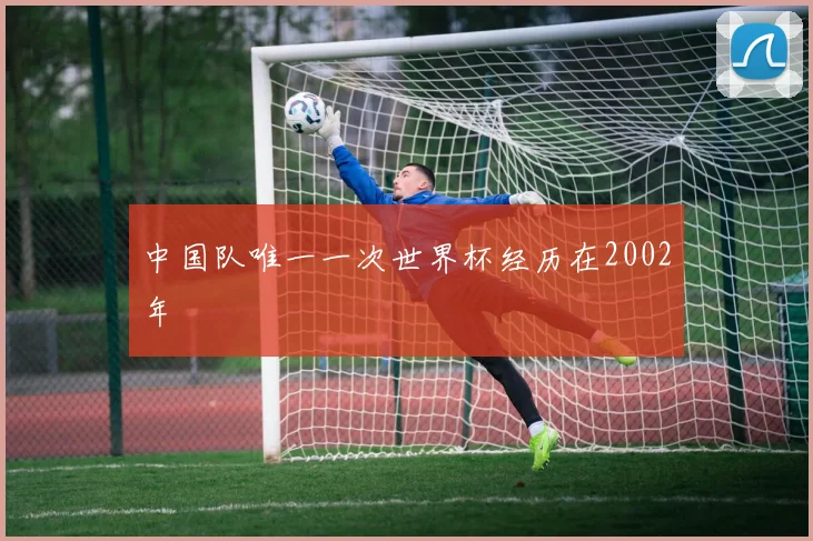 中国队唯一一次世界杯经历在2002年