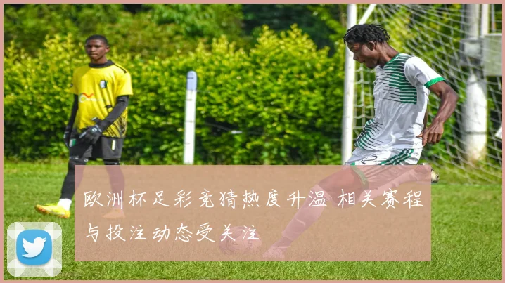 欧洲杯足彩竞猜热度升温 相关赛程与投注动态受关注