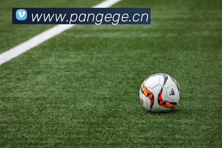 开云app官方在线入口 - 开云(中国)全站App